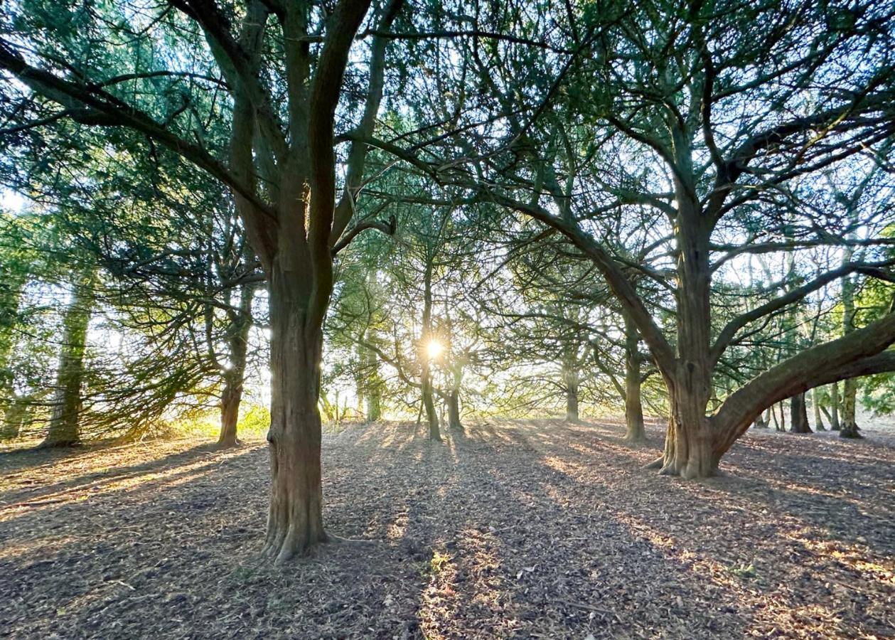 فندق إيدوينستوفي  Sherwood Castle Holiday Forest المظهر الخارجي الصورة